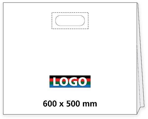 Obrázky: Taška LDPE ztužený průhmat 60*50cm s potiskem 4/0, Obrázek 1