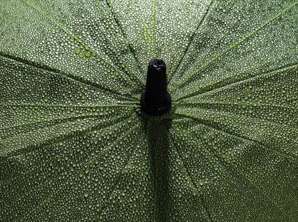 Obrázky: Zelený větru odolný rPET deštník, manuální, Obrázek 7