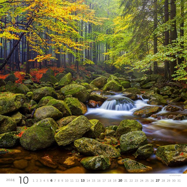 Obrázky: FOREST, nástěnný kalendář 300x300 mm, spirála, Obrázek 11