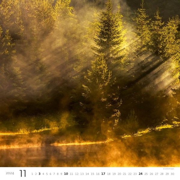 Obrázky: FOREST, nástěnný kalendář 300x300 mm, spirála, Obrázek 12