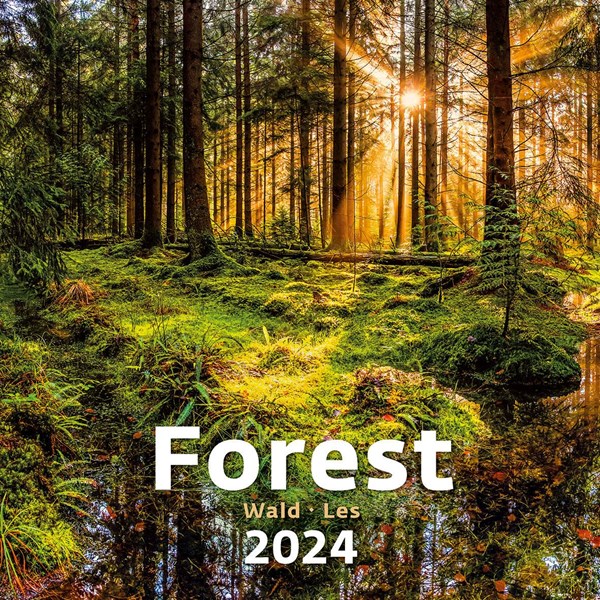 Obrázky: FOREST, nástěnný kalendář 300x300 mm, spirála, Obrázek 14