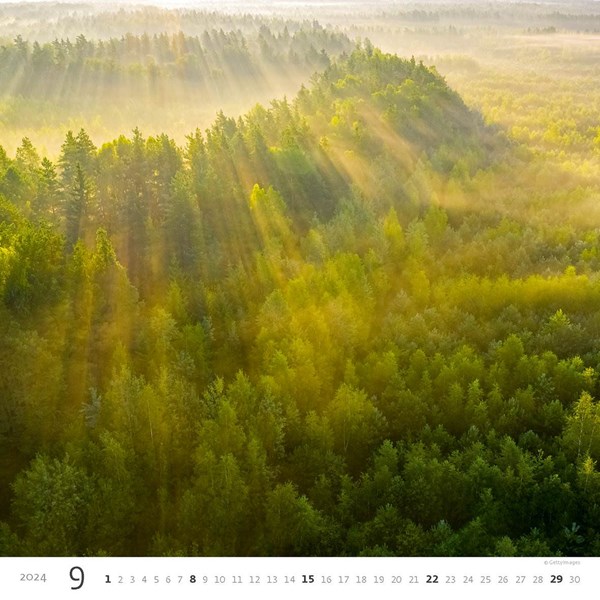 Obrázky: FOREST, nástěnný kalendář 300x300 mm, spirála, Obrázek 10
