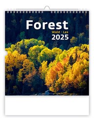 Obrázky: FOREST, nástěnný kalendář 300x300 mm, spirála
