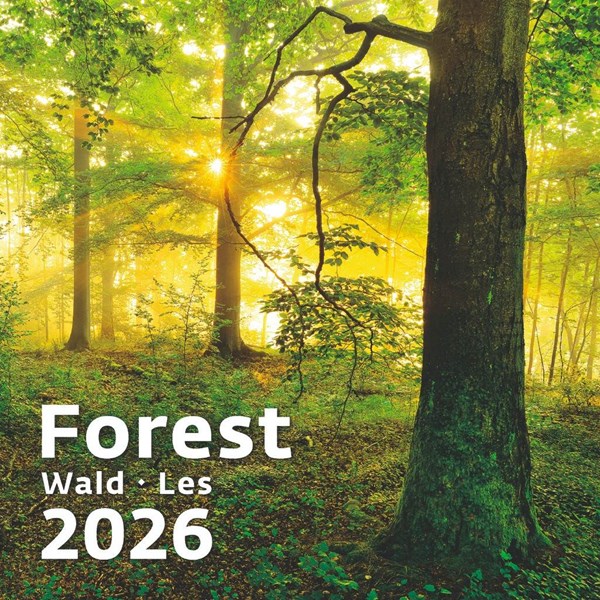 Obrázky: FOREST, nástěnný kalendář 300x300 mm, Obrázek 14