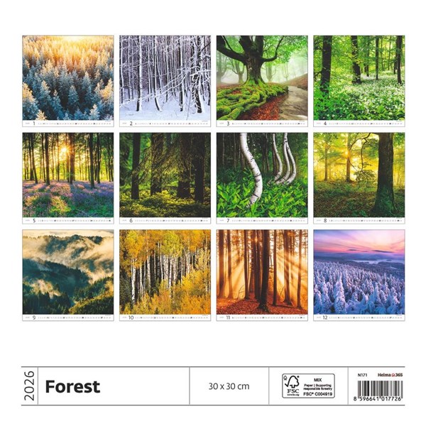 Obrázky: FOREST, nástěnný kalendář 300x300 mm, Obrázek 15