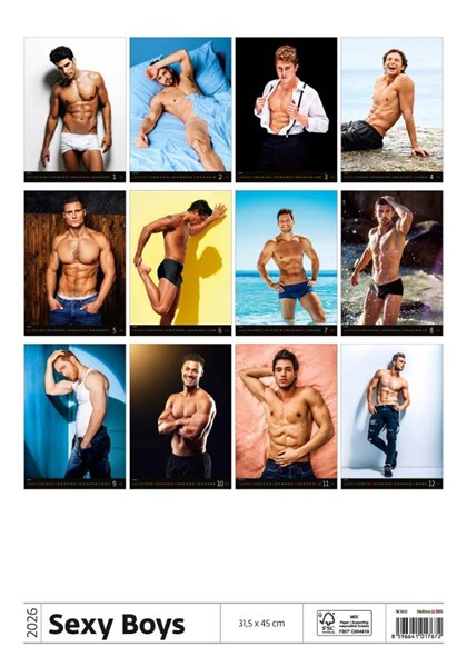 Obrázky: SEXY BOYS, nástěnný kalendář 315x450 mm, Obrázek 15