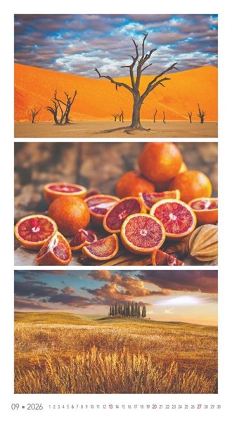 Obrázky: COLOURS, nástěnný kalendář 330x600 mm, Obrázek 13