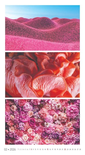 Obrázky: COLOURS, nástěnný kalendář 330x600 mm, Obrázek 6
