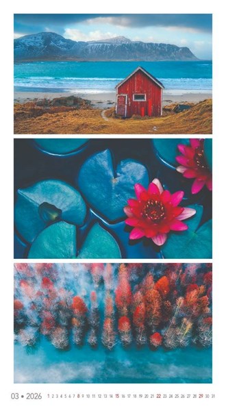 Obrázky: COLOURS, nástěnný kalendář 330x600 mm, Obrázek 7