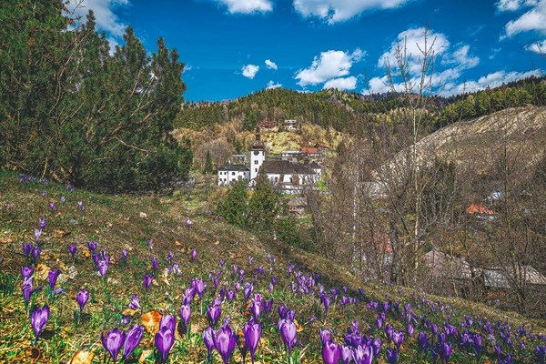 Obrázky: SLOVENSKO V OBRAZOCH, nástenný kalendár 485x340 mm, Obrázek 5