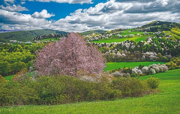 Obrázky: SLOVENSKO V OBRAZOCH, nástenný kalendár 485x340 mm, Obrázek 7
