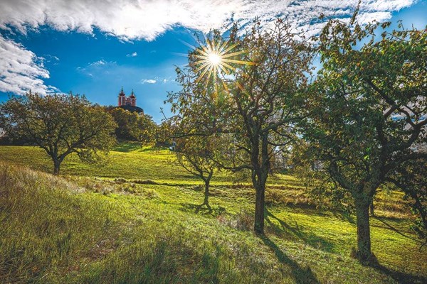 Obrázky: SLOVENSKO V OBRAZOCH, nástenný kalendár 485x340 mm, Obrázek 8