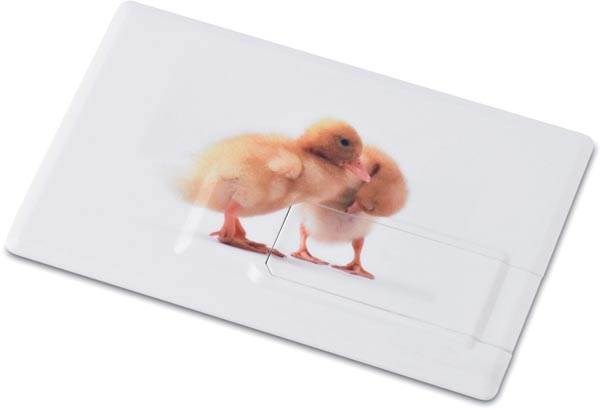 Obrázky: Memorama bílý USB flash disk, kreditní  karta 16GB, Obrázek 2