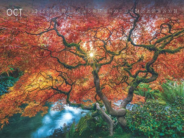 Obrázky: NATURE, nástěnný kalendář 560x420 mm, Obrázek 3
