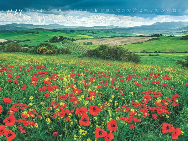 Obrázky: NATURE, nástěnný kalendář 560x420 mm, Obrázek 9