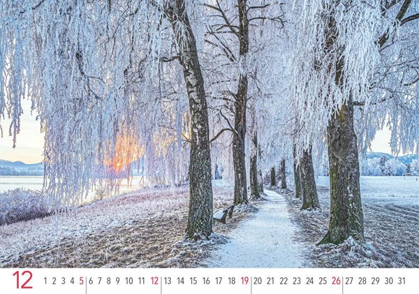 Obrázky: ALEJE, nástěnný kalendář 485x340 mm, Obrázek 5