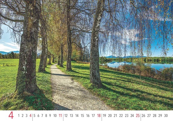 Obrázky: ALEJE, nástěnný kalendář 485x340 mm, Obrázek 8