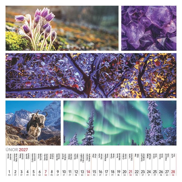 Obrázky: COLOURS OF NATURE, nástěnný kalendář 330x330 mm, Obrázek 6