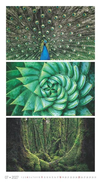 Obrázky: COLOURS, nástěnný kalendář 330x600 mm, Obrázek 11