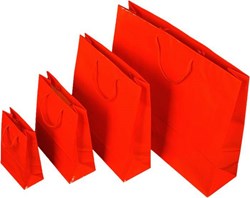 Obrázky: Papírová taška červená 16x8x25 cm text.šňůrky, lak