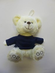 Zobrazit detaily pro Plyšový bílý medvídek s modrým tričkem Obrázky: Plyšový bílý medvídek s modrým tričkem