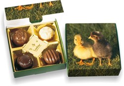 Zobrazit detaily pro Sada 4pralinek,velikonoční motiv s dotiskem,od 50ks Obrázky: Sada 4pralinek,velikonoční motiv s dotiskem,od 50ks