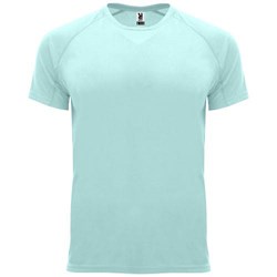 Zobrazit detaily pro Pán. funkční triko Bahrain 135, mátově zelené L Obrázky: Pán. funkční triko Bahrain 135, mátově zelené L