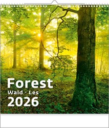 Zobrazit detaily pro FOREST, nástěnný kalendář 300 x 300mm Obrázky: FOREST, nástěnný kalendář 300 x 300mm